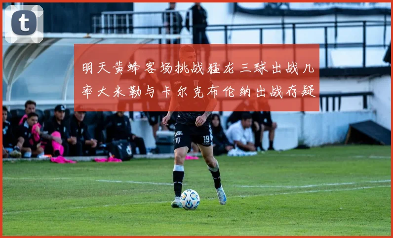 明天黄蜂客场挑战猛龙三球出战几率大米勒与卡尔克布伦纳出战存疑