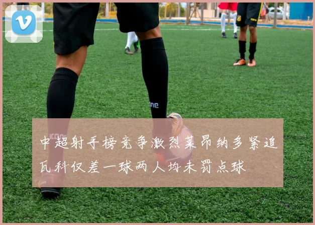 中超射手榜竞争激烈莱昂纳多紧追瓦科仅差一球两人均未罚点球